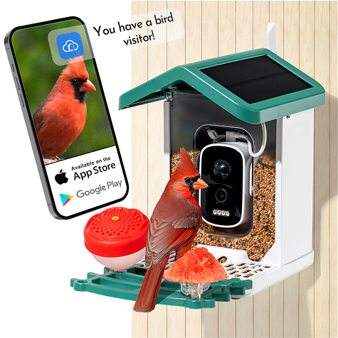 Happy Birdy Smart Bird Feeder: Published Specs and Buying Context - seller-provided product image