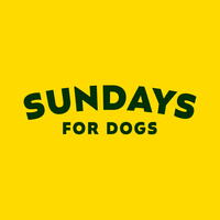 Sundays For Dogs thumbnail