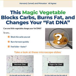 PuraBurn Super Food Supplement - VSL [US] (Native,Social,SEO,Search,Banner,Email) - CPA {No BrandBidding}