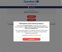 Carrefour Survey (Email Only) [FR] - Revshare