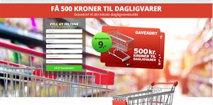 Supermarket [NO] - CPA {All Days  All Domains}