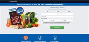 Carrefour FB [FR] (Email Only) - CPL